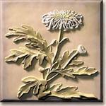 Chrysanthemum 8''